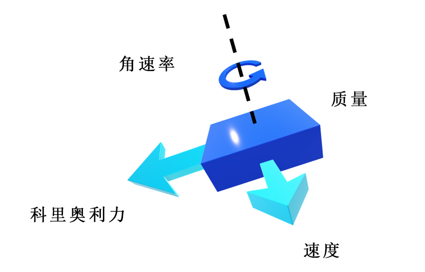 图6		科里奥利效应的运动向量